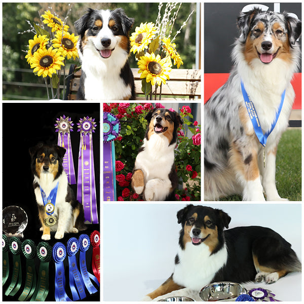 Generations of Champions - Keeping it in the family