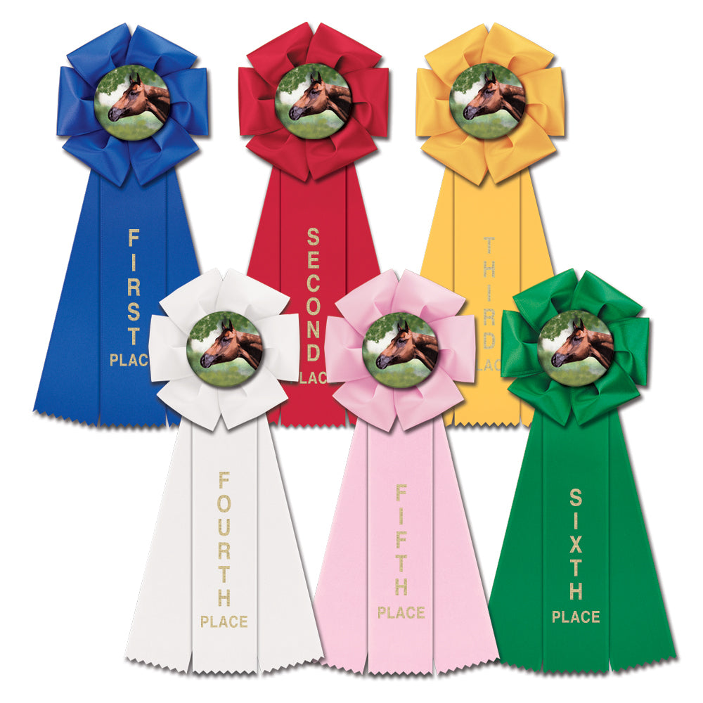 Stock Beauty Rosette Award Ribbon Set of 6