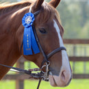 Stock Equestrian Empire Rosette Award Ribbon Set (Set of 6)