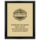 12" x 15"  Award Plaque - Black w/ Engraved Plate