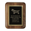 7" x 9"  Genuine Walnut Award Plaque