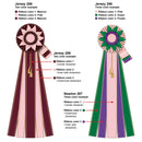 Jersey 5 Rosette Award Ribbon, 6-1/2" Top