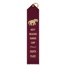 2" x 10" Custom Point Top Award Ribbon