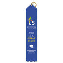 2" x 10" Custom Multicolor Point Top Award Ribbon