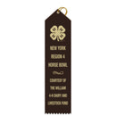 2-1/2" x 10" Custom Point Top Award Ribbon