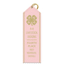 2-1/2" x 8" Custom Point Top Award Ribbon With Border