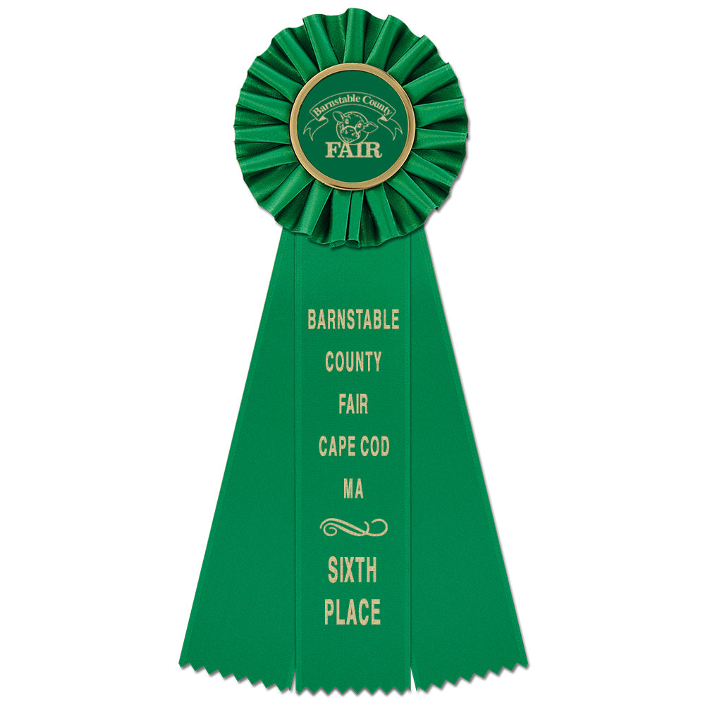 Ideal 3 Rosette Award Ribbon 4