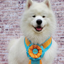 Custom Easton Award Sash, 6-1/2" Top