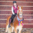 Custom Knighton Award Sash, 5-1/2" Top