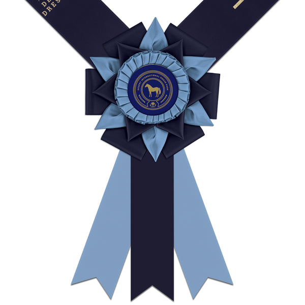 Custom Swindon Award Sash , 6" Top