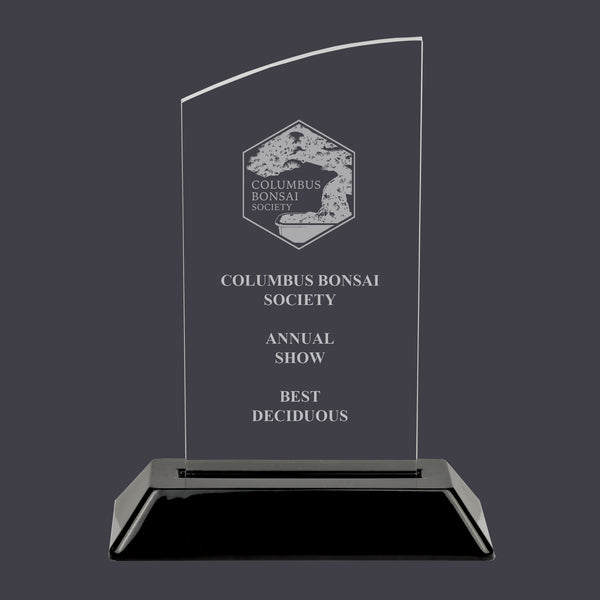 6-1/4" Custom Engraved Swatch Acrylic Award