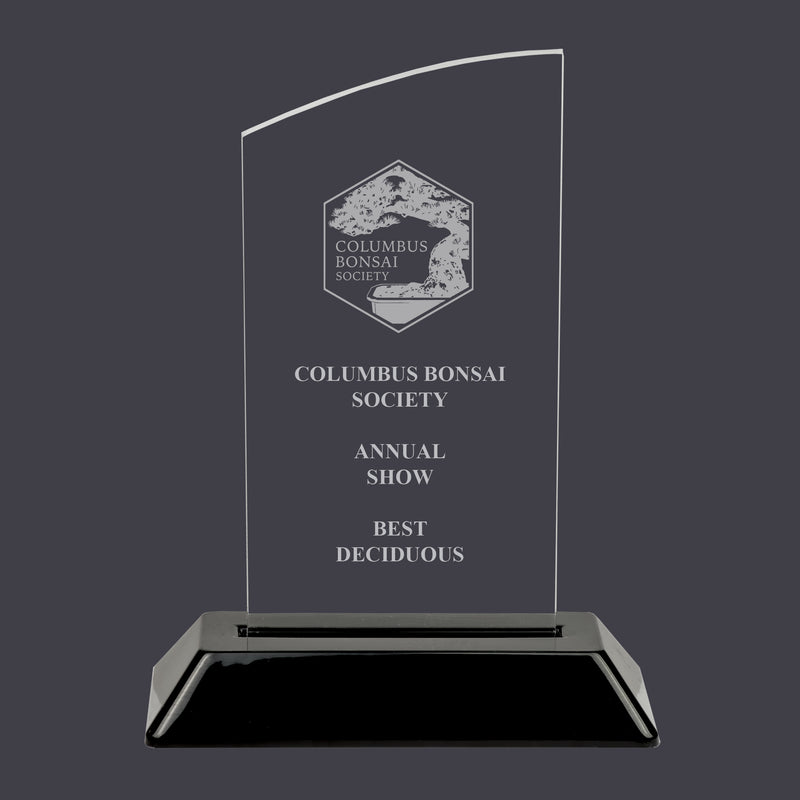 6-1/4" Custom Engraved Swatch Acrylic Award