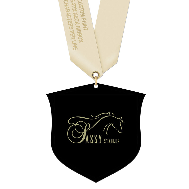 3-1/2" Standard Shape Custom Black Acrylic Medal With Satin Neck Ribbon