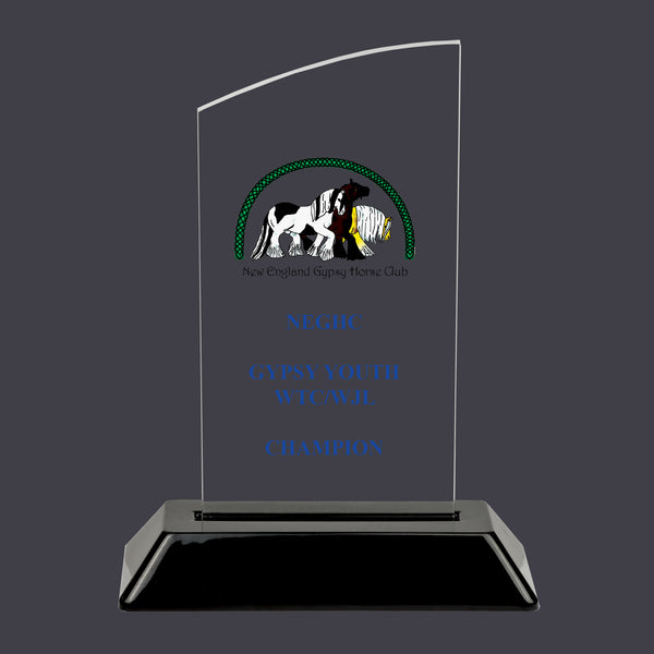 6-1/4" Custom Full Color Swatch Acrylic Award With Black Base