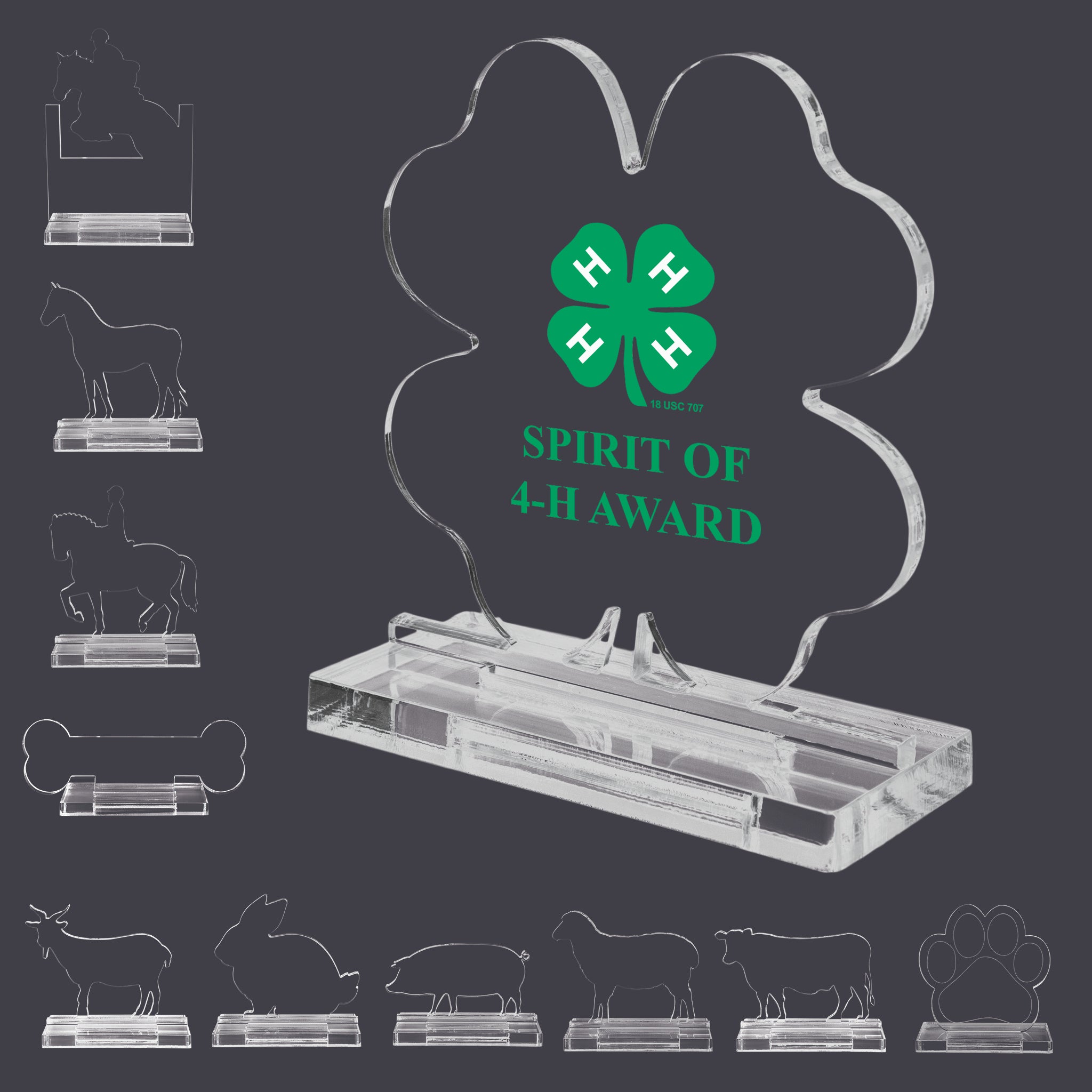 Custom Full Color Acrylic Award with Base