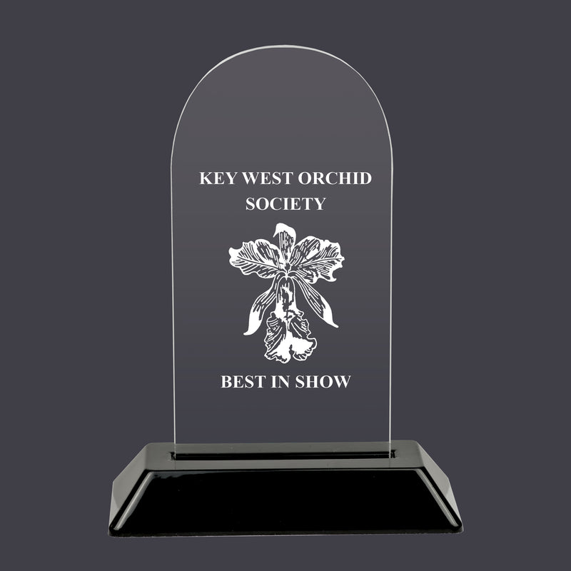 6-1/4" Custom Engraved Arch Acrylic Award