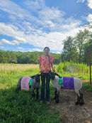 18-1/2"h x 11-1/2"w Cloth Mini Banners With Fringe - Hodges Badge Company, Inc.