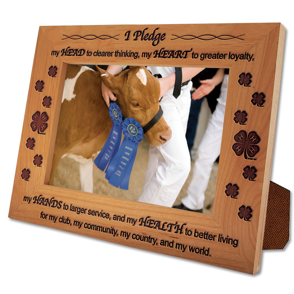 Pledge Frame Design 5