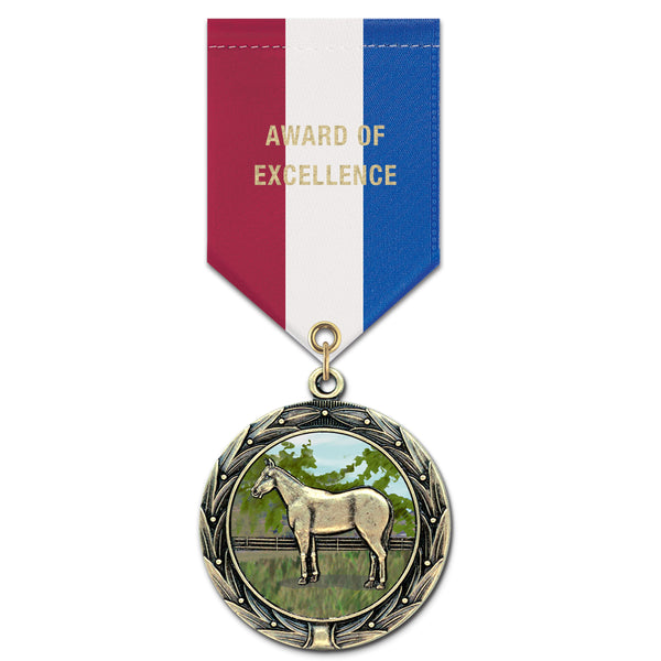 1-3/4" HBXC Award Medal With Specialty Satin Drape Ribbon