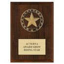 5" x 7" Custom RS Medal Award Plaque - Cherry Finish