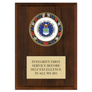 5" x 7" Custom RSG Award Medal Plaque - Cherry Finish