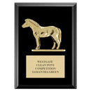5" X 7" BLACK FINISH EQUESTRIAN PLAQUE