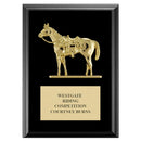 5" X 7" BLACK FINISH EQUESTRIAN PLAQUE