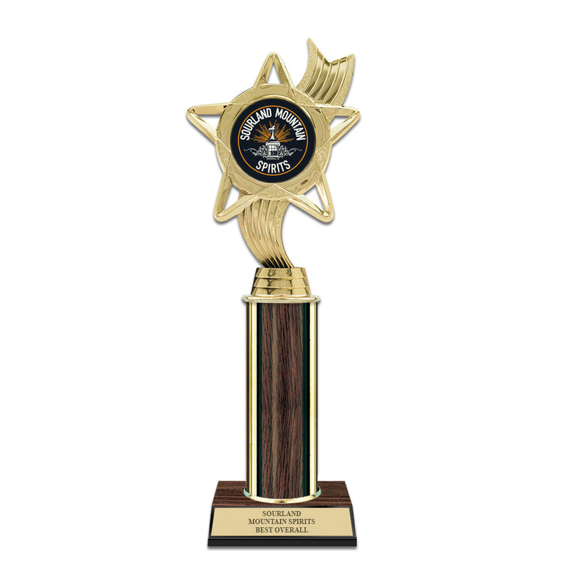 10" Custom Walnut Finished Award Insert Top Trophy