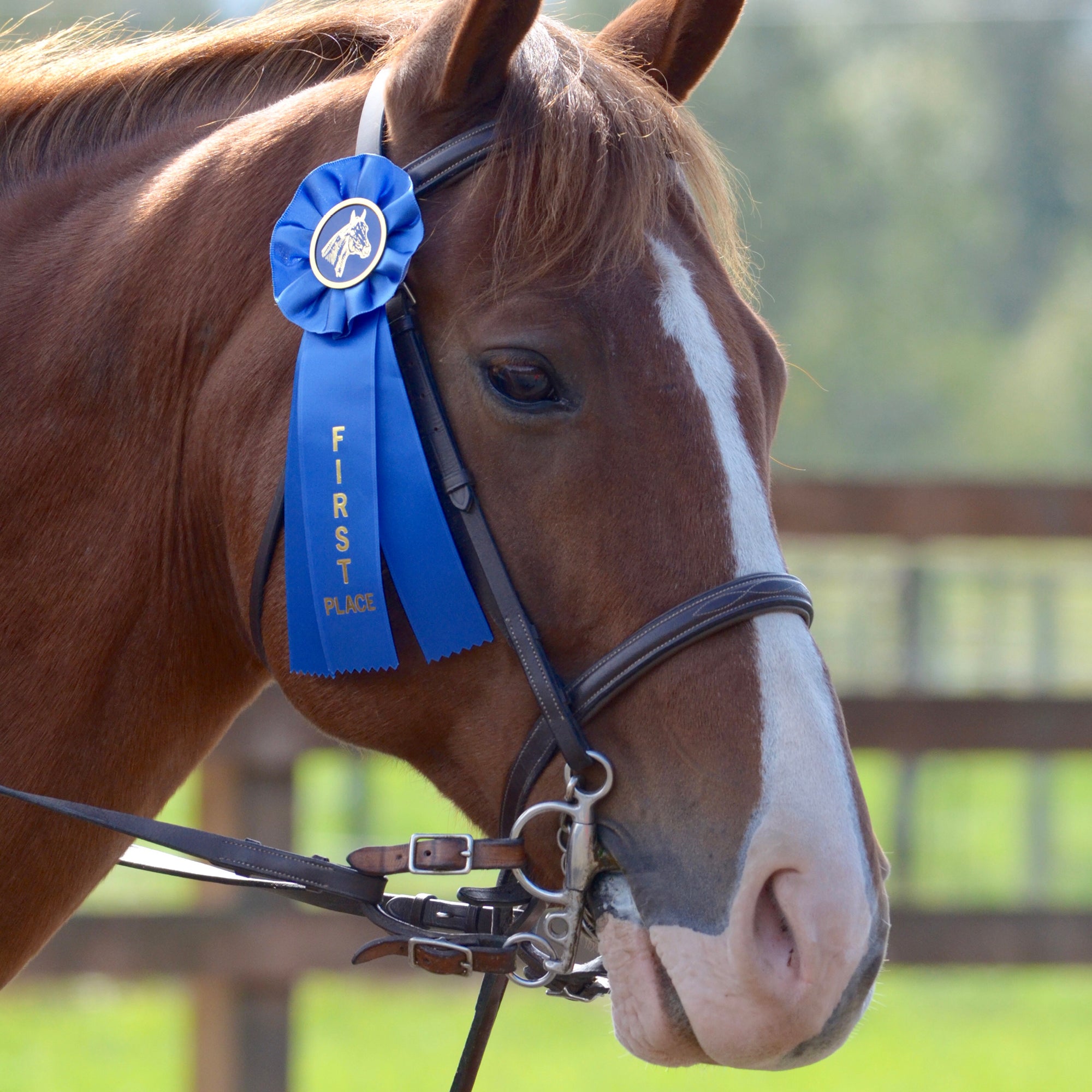Stock Single Equestrian Empire Rosette Award Ribbon