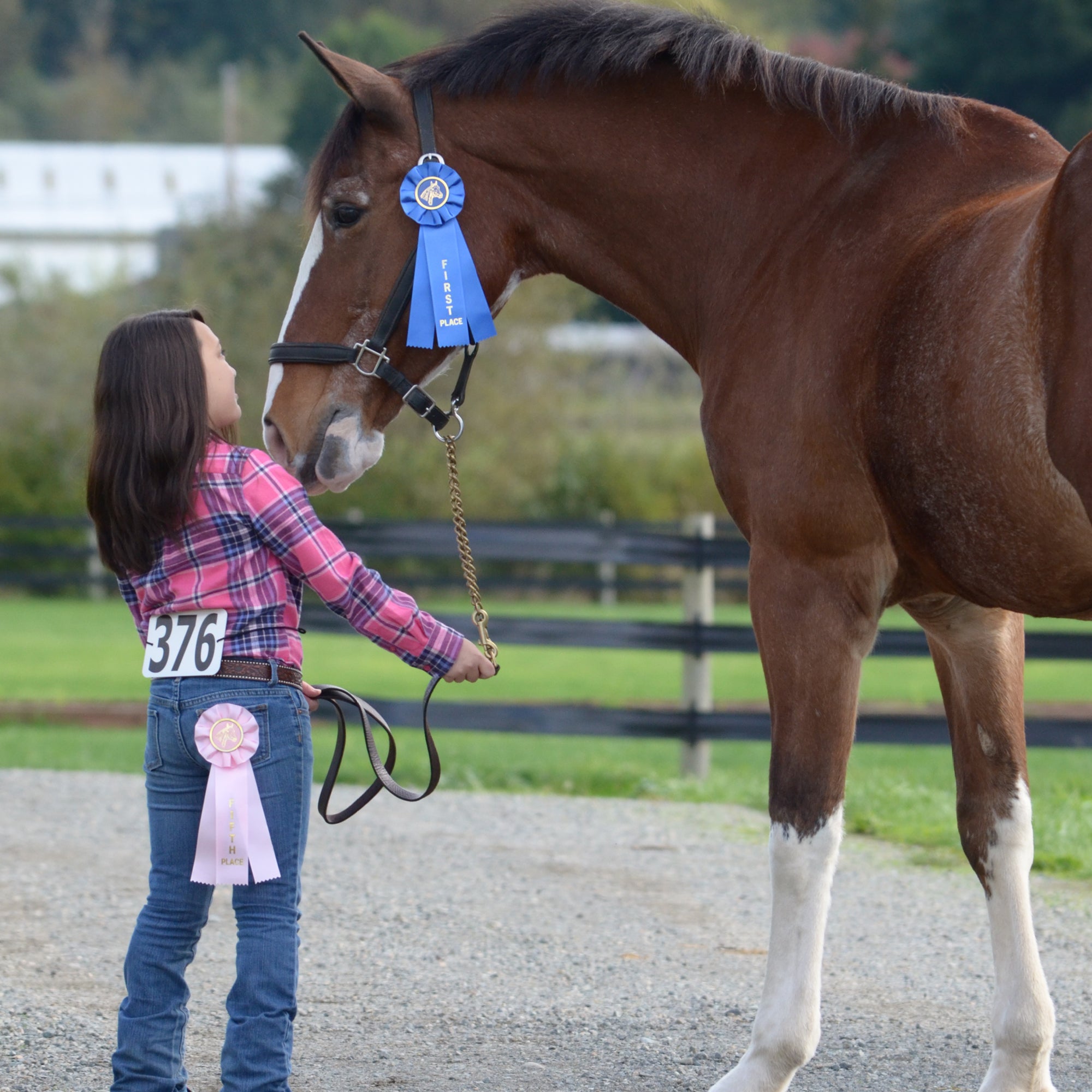 Stock Single Equestrian Empire Rosette Award Ribbon