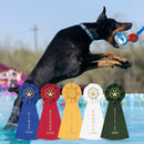 Stock Paw Print Rosette Award Ribbon