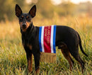 Custom Animal Drape Award