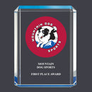 4-3/4" x 6-1/4" Custom Full Color Blue Shimmer Acrylic Award
