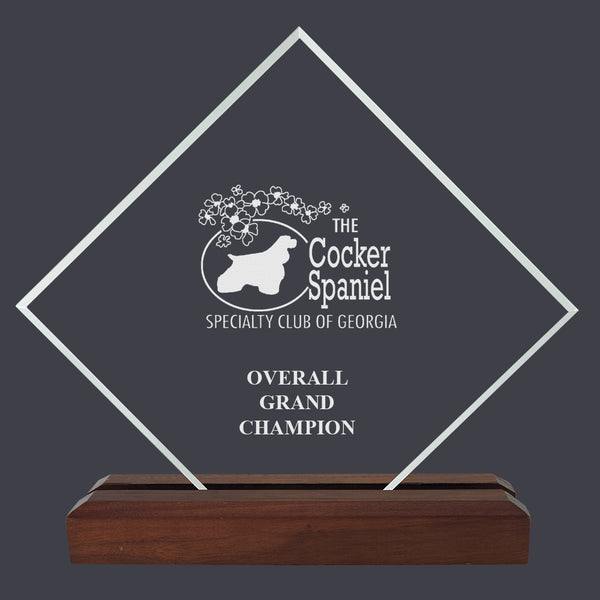 5" X 5" Custom Engraved Diamond Acrylic Award