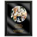 7" x 9" Custom Full Color Black Plaque With Acrylic Overlay