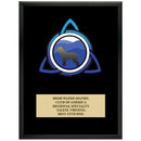 9" x 12" Custom Full Color Black Plaque With Engraved Plate