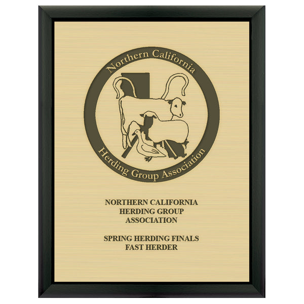 7" x 9"  Award Plaque - Black w/ Engraved Plate