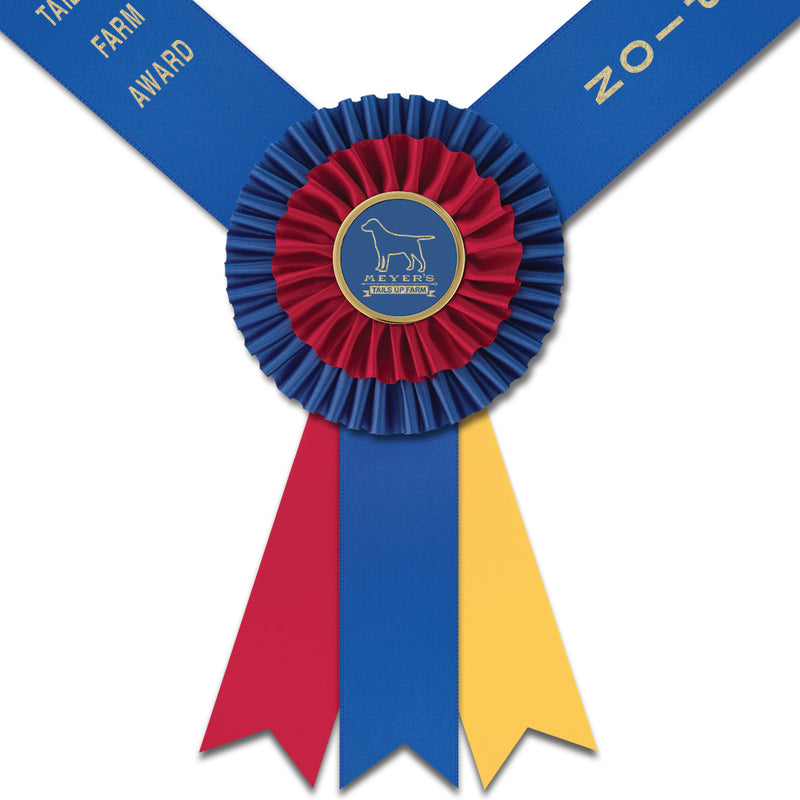 Custom Knighton Award Sash, 5-1/2" Top