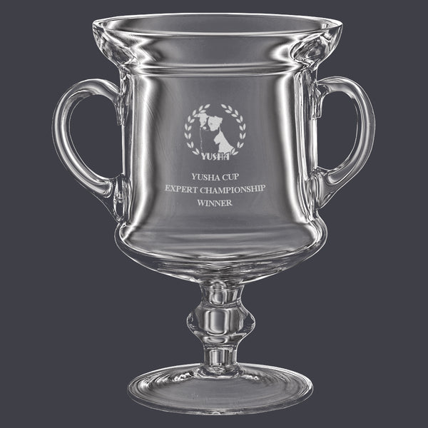 7" Glass Award Trophy With Handles