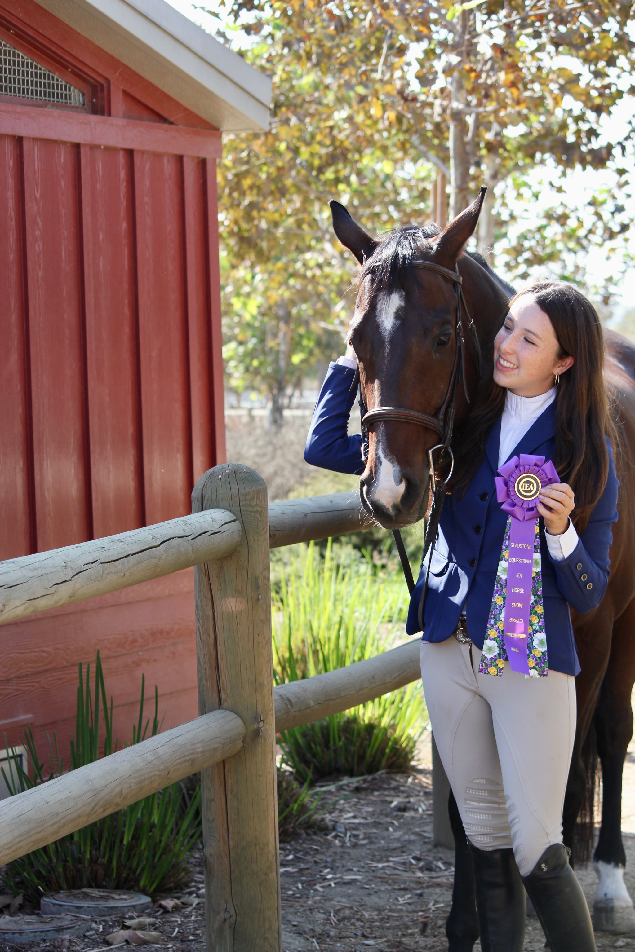 Peerless 3 Rosette Award Ribbon 5-1/2