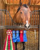 Ideal 3 Rosette Award Ribbon 4" Top - Hodges Badge Company, Inc.