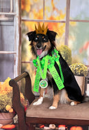 2-3/4" Custom GGM Award Medal With Satin Neck Ribbon