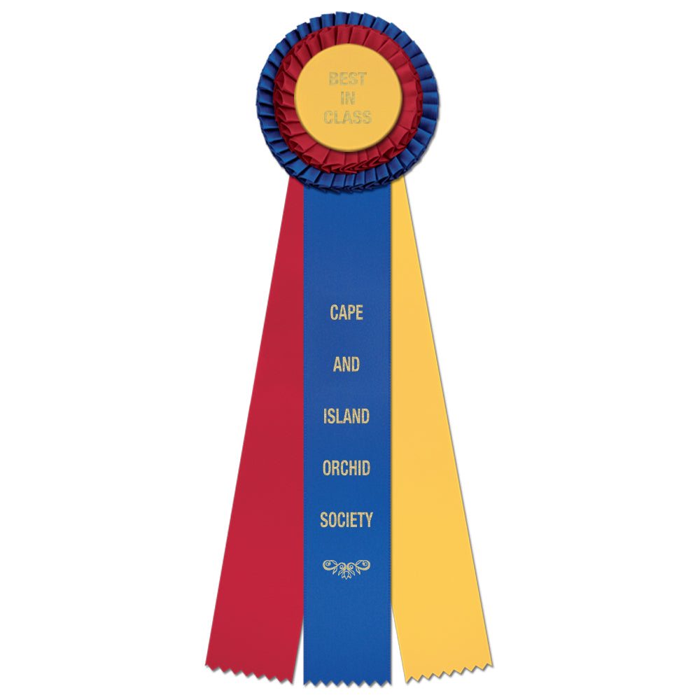 Chester 3 Rosette Award Ribbon, 4