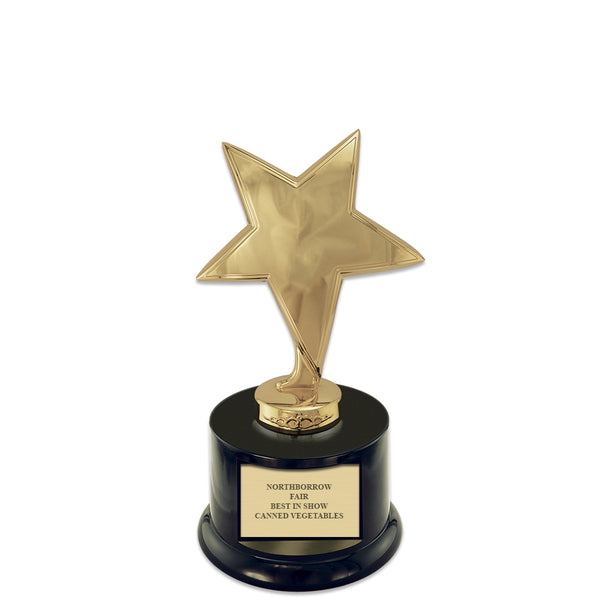 7" Star Award Trophy With Round Base