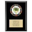 5" x 7" Custom RSG Award Medal Plaque - Black Finish