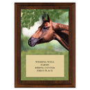 5" x 7" Custom Full Color Stock Design Cherry Plaque With Engraved Plate