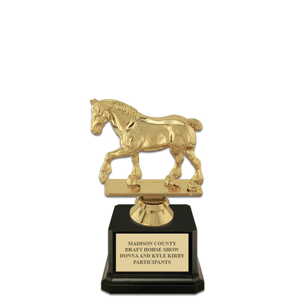 GoHorseShow - Showing Off: See How the Industry's Top Competitors Display  their Trophies