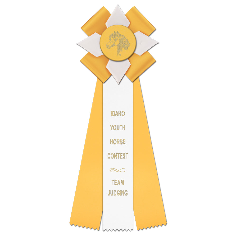 Dorset 3 Rosette Award Ribbon, 5