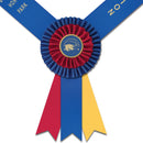 Custom Knighton Award Sash, 5-1/2" Top