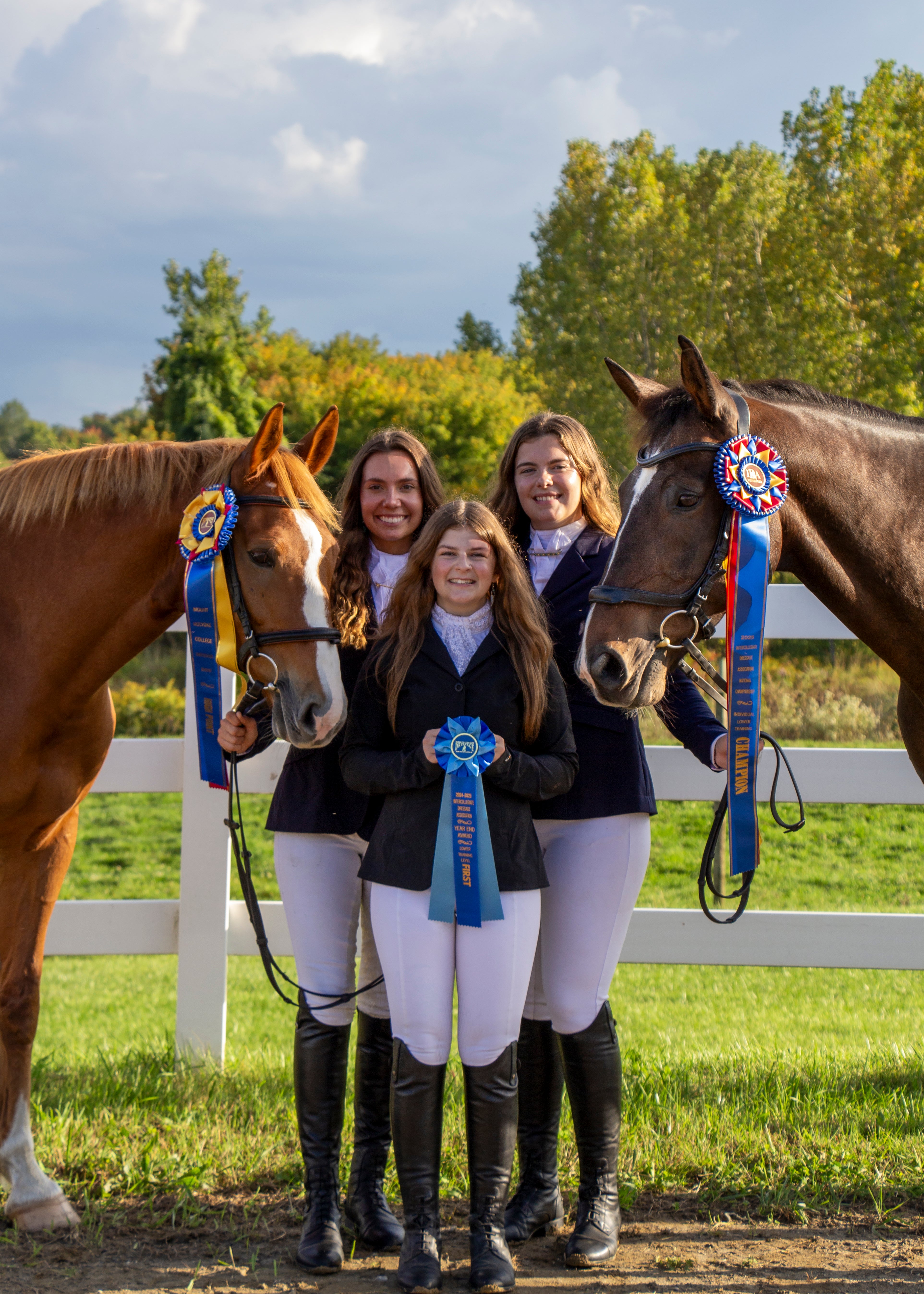 Ewell 3 Rosette Award Ribbon, 4-1/2